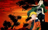 Naruto fonds d'écran d'albums (3) #32