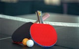 Sports Equipment Wallpaper #1