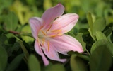 佳能 EOS 5D 樣張壁紙 #19