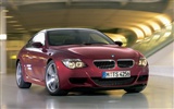 BMW M6-Wallpaper #11