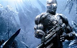 Crysis Wallpaper (1) #22