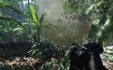 Crysis Wallpaper (1) #30