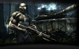 Crysis Wallpaper (2) #12