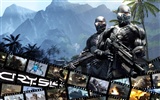 Crysis 孤岛危机壁纸(三)