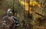 Fond d'écran Crysis (3) #4