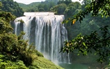 Huangguoshu Falls (Minghu obras Metasequoia) #2