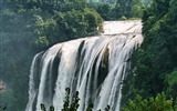 Huangguoshu Falls (Minghu Metasequoia práce) #3
