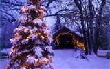 Christmas landscaping series wallpaper (2) #12