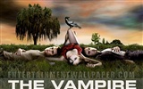 Le papier peint Vampire Diaries #3