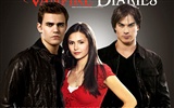 The Vampire Diaries 吸血鬼日記 #4