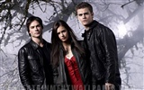 Le papier peint Vampire Diaries #5