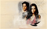 Le papier peint Vampire Diaries #18