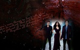 The Vampire Diaries Tapete #19