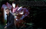 The Vampire Diaries wallpaper #21