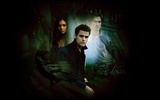 Le papier peint Vampire Diaries #24