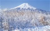Fuji écran paysages Album #22