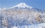 富士山风光壁纸专辑22