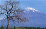 富士山風光壁紙專輯 #26