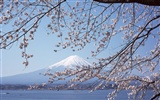 Fuji écran paysages Album #29