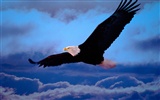 Eagle wings fly wallpaper #12