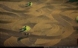 La fotografía aérea se pregunta fondos de pantalla #18