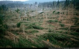 La photographie aérienne merveilles fonds d'écran #23