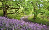 Four Seasons Landscape wallpaper (2) #9