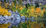 Four Seasons Landscape Wallpaper (2) #11