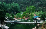 라이우 풍경 (Minghu Metasequoia 작동) #2