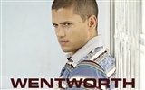 Wentworth Miller fondo de pantalla #2