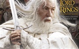 The Lord of the Rings 指環王 #16