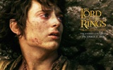 Der Herr der Ringe Wallpaper #18