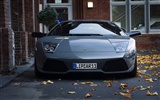 Enfriar coches Lamborghini Wallpaper #1