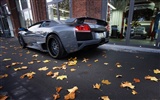 Cool fond d'écran Lamborghini Voiture #16