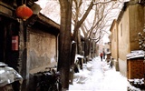Old Hutong life for old photos wallpaper