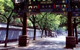 Old Hutong life for old photos wallpaper #25