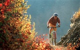 Mountain Bike Wallpaper #13075