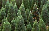 Christmas landscaping series wallpaper (3) #2