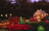 Christmas landscaping series wallpaper (3) #3