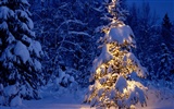 Christmas landscaping series wallpaper (3) #8