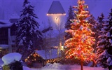 Christmas landscaping series wallpaper (3) #20