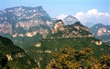Wir haben die Taihang Mountains (Minghu Metasequoia Werke) #10