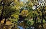 Caractéristiques de beaux paysages de l'Australie #3