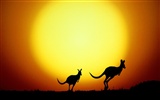Features schöne Landschaft von Australien #18