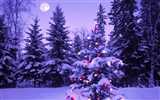 Christmas landscaping series wallpaper (4) #1