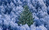 Christmas landscaping series wallpaper (4) #15