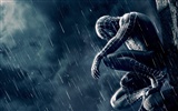 SpiderMan 3 Wallpaper #4