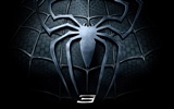 SpiderMan 3 蜘蛛俠3 精美壁紙 #15