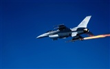 The military jet wallpaper #4