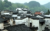 Wuyuan en la línea de la lluvia (Minghu obras Metasequoia)